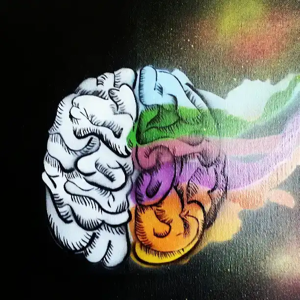 hemisferios cerebrales